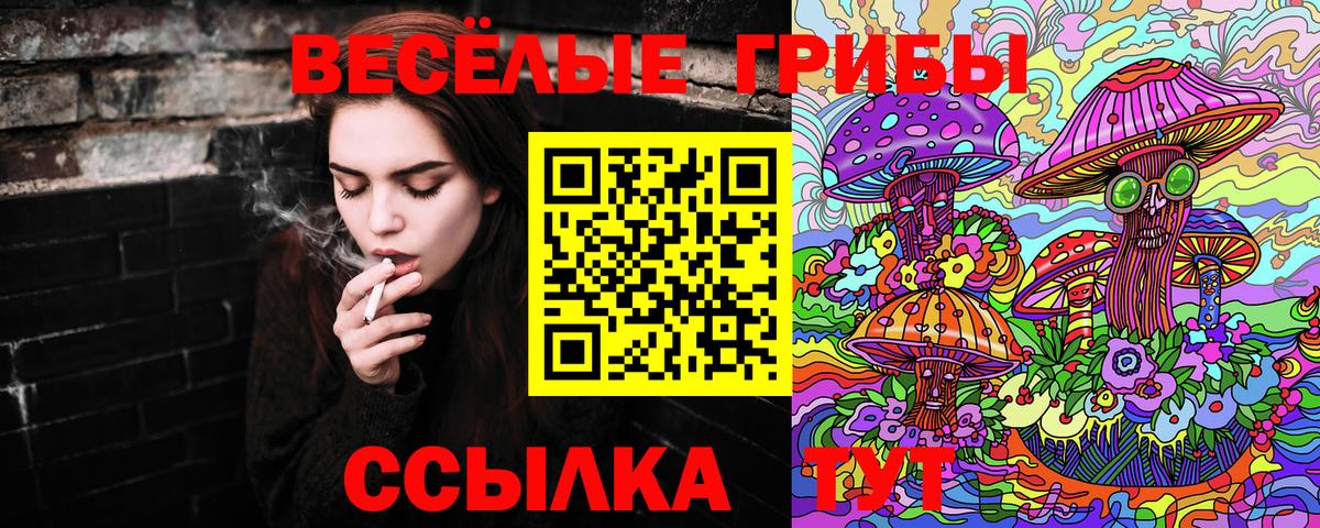 Псилоцибиновые грибы Psilocybine cubensis  Вход с VPN  Пугачёв 